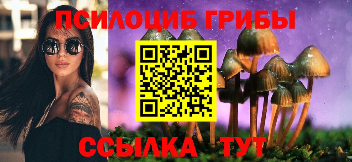 Псилоцибиновые грибы Magic Shrooms Кириши